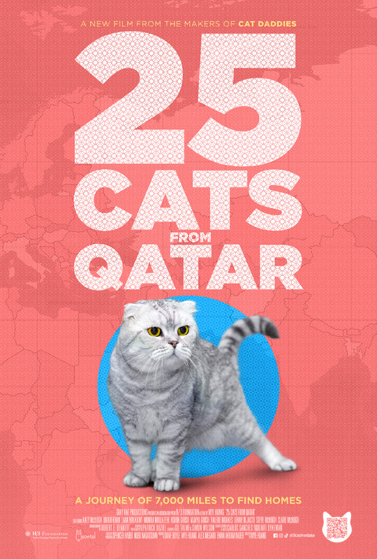 25 Cats From Qatar poster