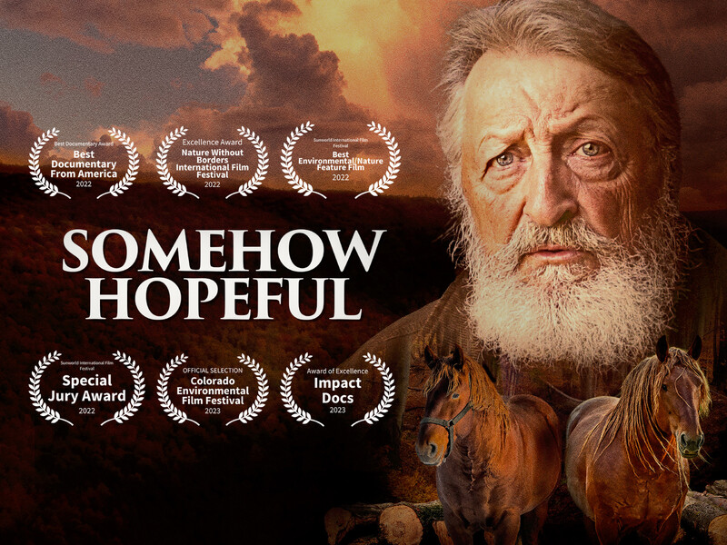 Somehow Hopeful: The Story of a Woodsman poster