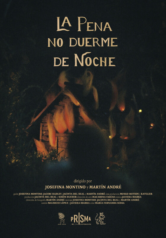 Sorrow Doesn't Sleep At Night poster