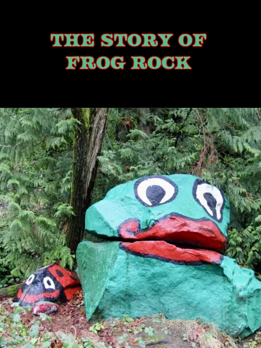 The Story of Frog Rock poster