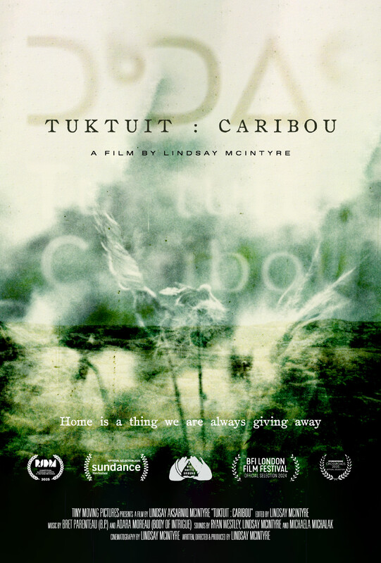 Tuktuit: Caribou poster