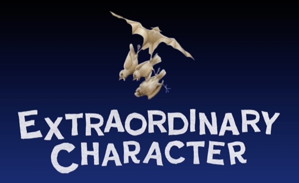 Extraordinary Character poster