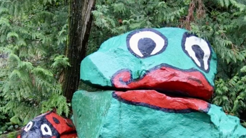 The Story of Frog Rock poster